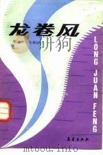 龙卷风（1988 PDF版）