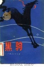 黑驹（1982 PDF版）
