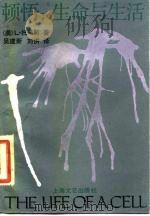 顿悟  生命与生活（1989 PDF版）