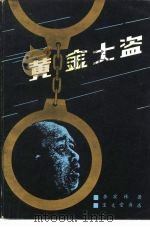 黄金大盗（1982 PDF版）