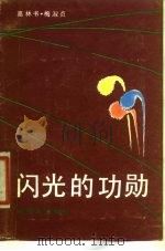 闪光的功勋 1987 PDF电子版封面 7506501597 高林书,梅淑贞著