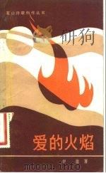 爱的火焰（1987 PDF版）