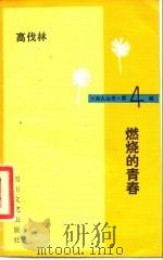 燃烧的青春（1986 PDF版）