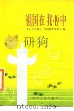 祖国在我心中（1984 PDF版）