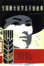 全国新长征突击手的故事  农村部分（1981 PDF版）