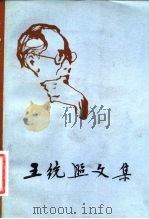王统照文集 第4卷 1982 PDF电子版封面 10099·1565 王统照著
