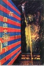 在自由女神像下（1988 PDF版）