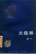 火烧林（1984 PDF版）