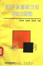 煤炭检测新方法与动力配煤 1992.04 PDF电子版封面 7504703265 刘天新等主编