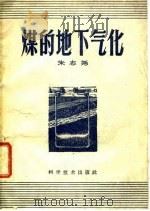 煤的地下气化（1959 PDF版）