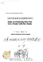 用稻壳制备氮化硅超微粉的研究 1997 PDF电子版封面 7541609382 王华,戴永年著
