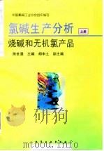 氯碱生产分析  上  烧碱和无机氯产品（1996 PDF版）