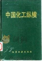中国化工纵横（1988 PDF版）