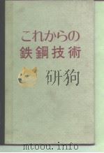 これからの铁钢技术 昭和46年10月第1版 PDF电子版封面 科学技术振兴财团