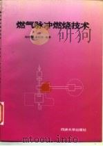 燃气脉冲燃烧技术（1997 PDF版）