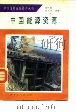 中国能源资源 1991 PDF电子版封面 7110017842 陈国新等编著