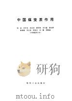 中国煤变质作用（1996 PDF版）
