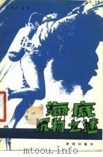 海底沉物之谜（1981 PDF版）
