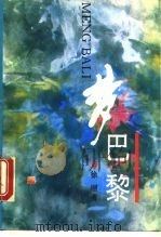 梦巴黎（1993 PDF版）