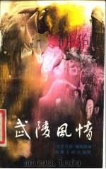 武陵风情（1985 PDF版）