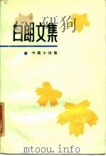 白朗文集  2  中篇小说集（1985 PDF版）