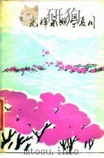 光辉永照宁夏川（1978 PDF版）