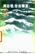 周总理，您在哪里？（1978年12月第1版 PDF版）