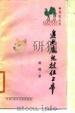 追逐魔鬼挝住上帝（1988 PDF版）