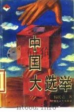 中国大选举 1989 PDF电子版封面 7540404353 杨民青著