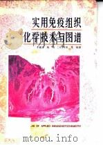 实用免疫组织化学技术与图谱 图集 1996 PDF电子版封面 7542710761 于颖彦等编著