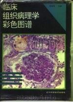 临床组织病理学彩色图谱 1993 PDF电子版封面 7538120246 宋继谒主编