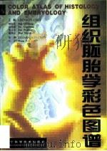 组织胚胎学彩色图谱（1997 PDF版）