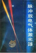脉冲放电气体激光器（1993 PDF版）