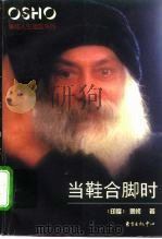 当鞋合脚时（1996 PDF版）