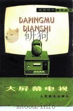 大屏幕电视（1978 PDF版）