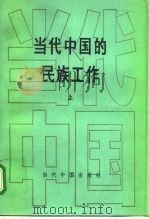 当代中国的民族工作  上（ PDF版）
