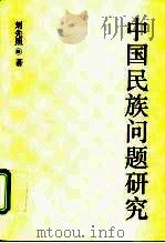 中国民族问题研究（1993 PDF版）
