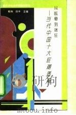 从眩晕到迷狂  当代中国十大狂潮透视（1993 PDF版）