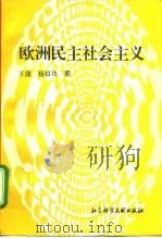 欧洲民主社会主义（1996 PDF版）