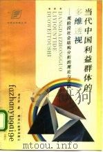 当代中国利益群体的多维透视 现阶段社会结构分析的理论与实践 1993 PDF电子版封面 7531621525 顾杰善著