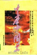中原突围史（1996 PDF版）