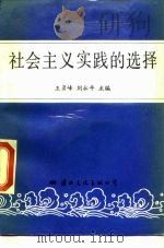 社会主义实践的选择（1989 PDF版）