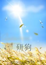 一国两制与台湾（ PDF版）