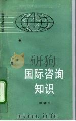 国际咨询知识 1992 PDF电子版封面 7010009953 邵望予编著