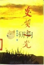 炎黄之光（1991 PDF版）