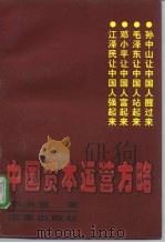中国资本运营方略（1997 PDF版）
