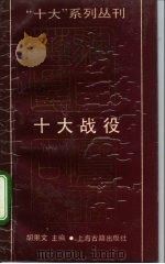 十大战役 1992 PDF电子版封面 7532513955 胡果文主编