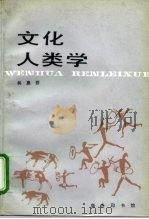 文化人类学（1991 PDF版）