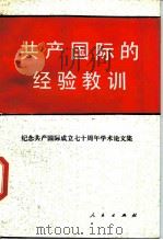 共产国际的经验教训 纪念共产国际成立七十周年学术论文集 1989 PDF电子版封面 7010005249 宋洪训,张中云主编