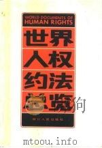 世界人权约法总览（1990 PDF版）